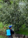 LANZA TELESCOPICA MATABI