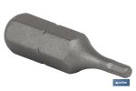 Punta Hexagonal para atornillador de Acero | Modelo 1/4" Allen Estándar | Longitud 25 y 50 mm