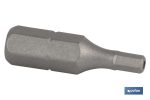 Punta Hexagonal inviolable para atornillador de Acero | Modelo 1/4" Allen Estándar | Longitud 25 mm