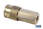 Enchufe rápido rosca hembra 1/2" de Gran caudal