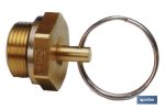 GRIFO PURGA 22 X 1,5
