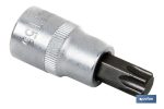 Llave de vaso de 1/4" con punta Torx | Fabricada en acero al cromo vanadio de alta calidad