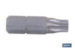 Destornillador Torx con punta inviolable | Diferentes tamaños