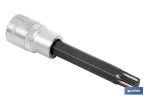 Llave de vaso de 1/2" | Fabricada en acero al cromo vanadio de alta calidad | Con punta larga Torx desde 20 hasta 55
