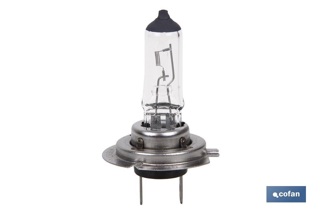 LÁMPARA HALÓGENA COFAN H7 (Px26d) 12V 55W - Imagen 3