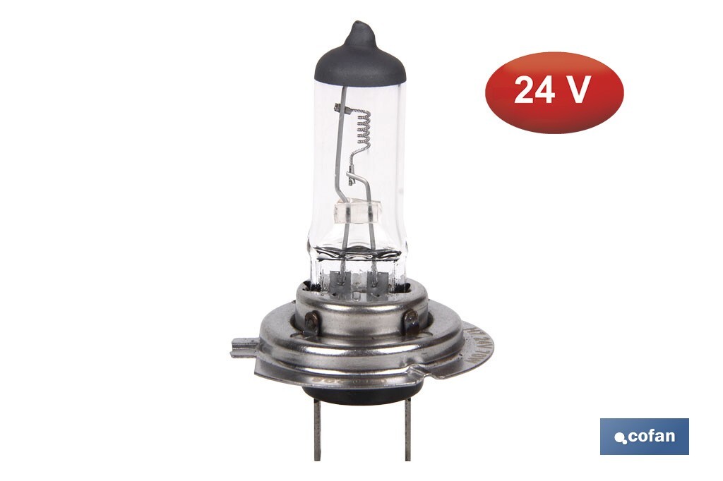 LÁMPARA HALÓGENA COFAN H7 (Px26d) 24V 70W