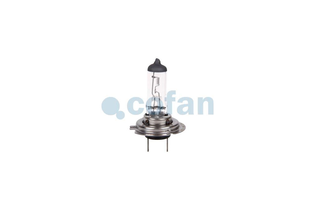 LÁMPARA HALÓGENA COFAN H7 (Px26d) 24V 70W - Imagen 3