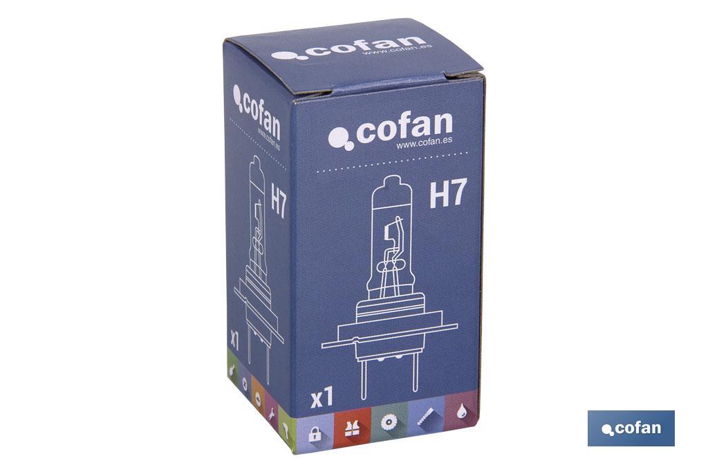 LÁMPARA HALÓGENA COFAN H7 (Px26d) 24V 70W - Imagen 2