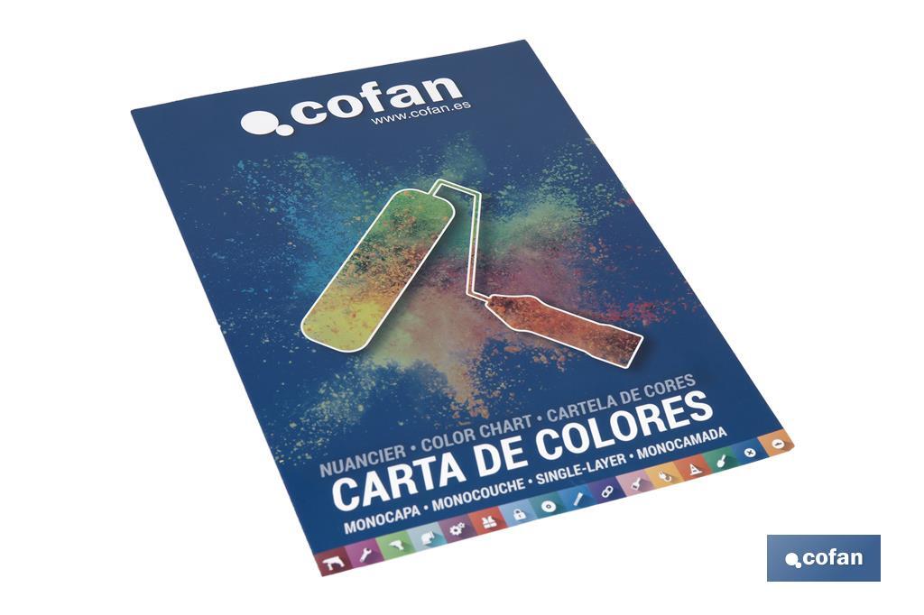CARTA DE COLORES PINTURA PLASTICA MONOCAPA - Imagen 2