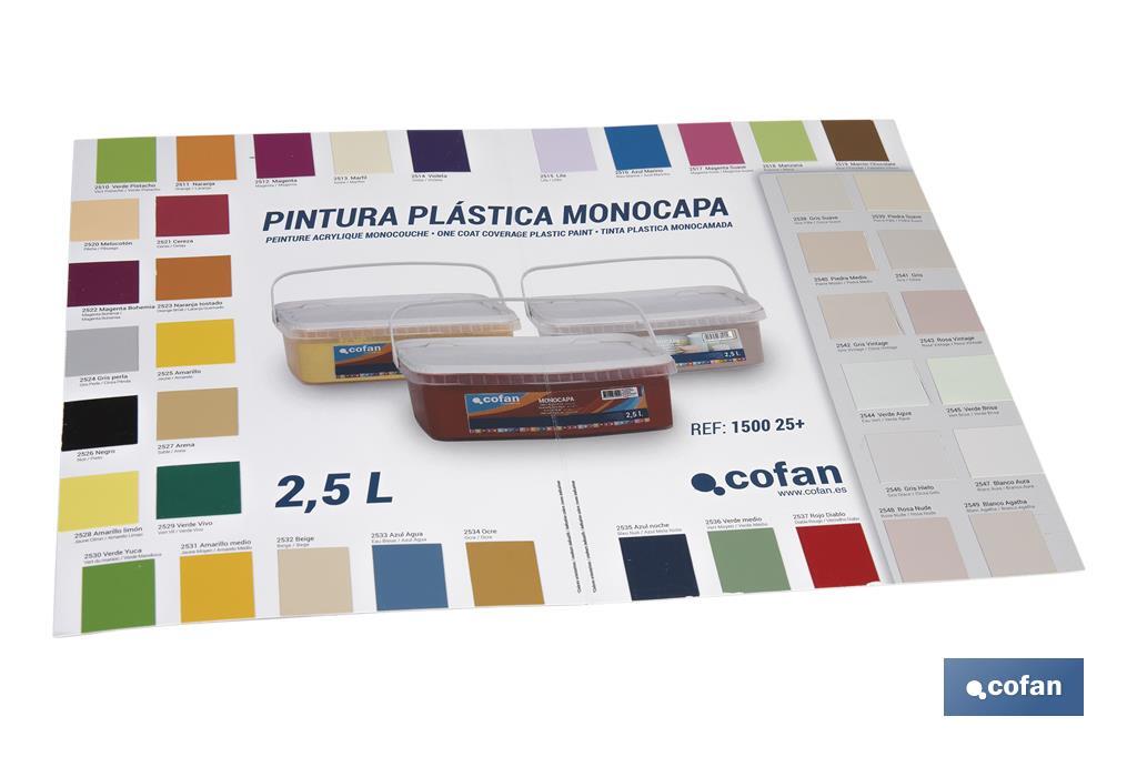 CARTA DE COLORES PINTURA PLASTICA MONOCAPA - Imagen 3
