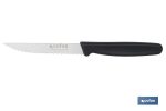 PACK DE 25 CUCHILLOS DE COCINA MICRODENTADO 10,5 cm